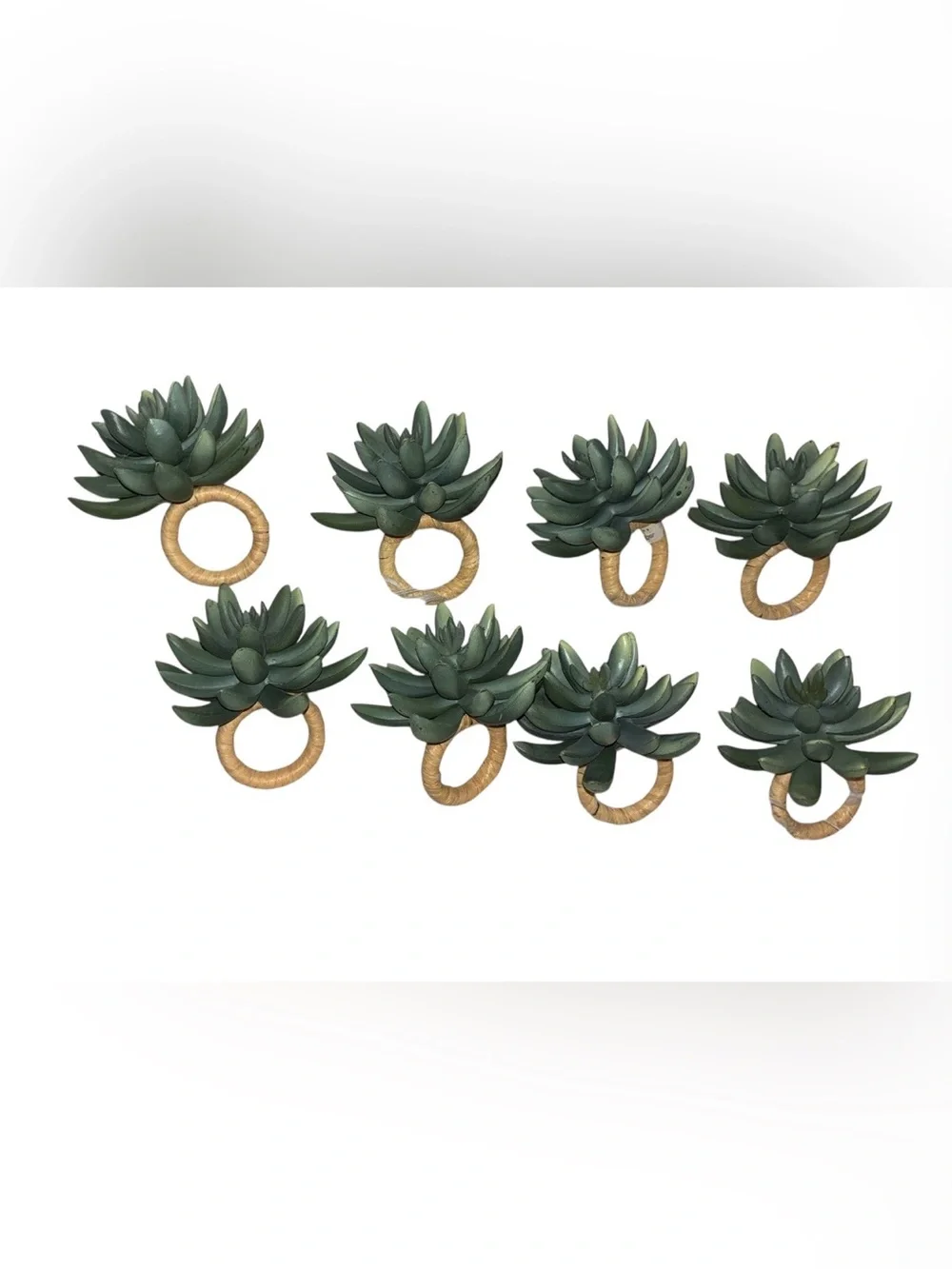 Pottery Barn Succulent green napkin rings set 8